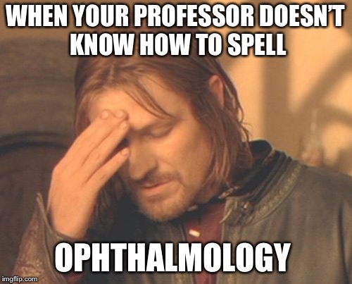 Frustrated Boromir Meme | WHEN YOUR PROFESSOR DOESN’T  KNOW HOW TO SPELL; OPHTHALMOLOGY | image tagged in memes,frustrated boromir | made w/ Imgflip meme maker