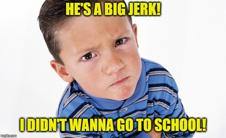 HE'S A BIG JERK! I DIDN'T WANNA GO TO SCHOOL! | made w/ Imgflip meme maker