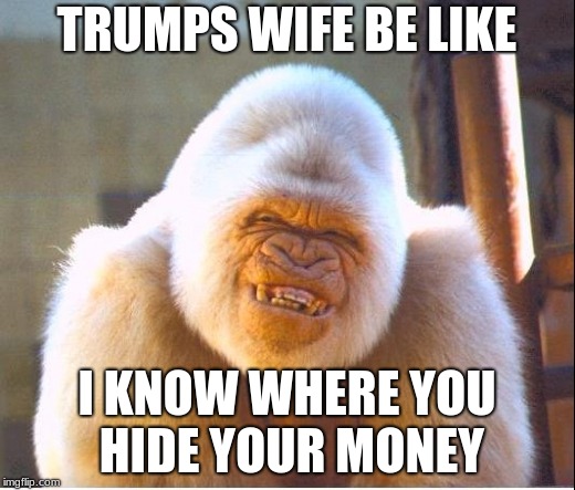 Roast too hard | TRUMPS WIFE BE LIKE; I KNOW WHERE YOU HIDE YOUR MONEY | image tagged in roast too hard | made w/ Imgflip meme maker