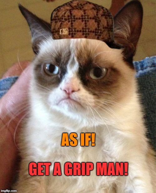 Grumpy Cat Meme | AS IF! GET A GRIP MAN! | image tagged in memes,grumpy cat,scumbag | made w/ Imgflip meme maker