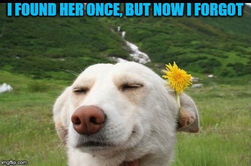 I FOUND HER ONCE, BUT NOW I FORGOT | made w/ Imgflip meme maker