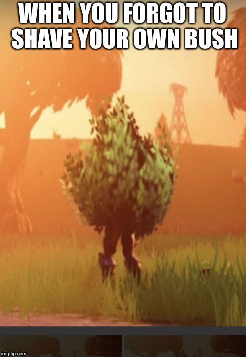 Fortnite bush | WHEN YOU FORGOT TO SHAVE YOUR OWN BUSH | image tagged in fortnite bush | made w/ Imgflip meme maker