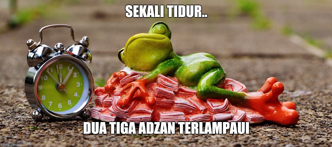SEKALI TIDUR.. DUA TIGA ADZAN TERLAMPAUI | image tagged in kermit the frog | made w/ Imgflip meme maker