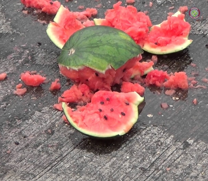 High Quality Watermelon Blank Meme Template