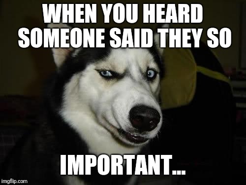 Funny Dog | WHEN YOU HEARD SOMEONE SAID THEY SO; IMPORTANT... | image tagged in funny dog | made w/ Imgflip meme maker