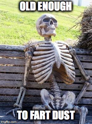 According to My Son-In-Law, I Am... | OLD ENOUGH; TO FART DUST | image tagged in memes,waiting skeleton | made w/ Imgflip meme maker