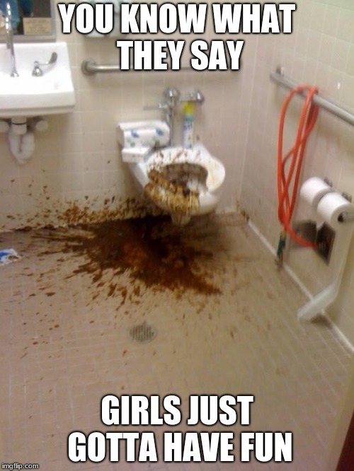 Girls poop too | YOU KNOW WHAT THEY SAY; GIRLS JUST GOTTA HAVE FUN | image tagged in girls poop too | made w/ Imgflip meme maker