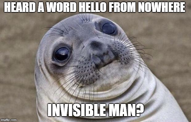 Awkward Moment Sealion Meme | HEARD A WORD HELLO FROM NOWHERE INVISIBLE MAN? | image tagged in memes,awkward moment sealion | made w/ Imgflip meme maker
