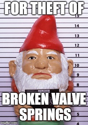 FOR THEFT OF; BROKEN VALVE SPRINGS | image tagged in gnome | made w/ Imgflip meme maker