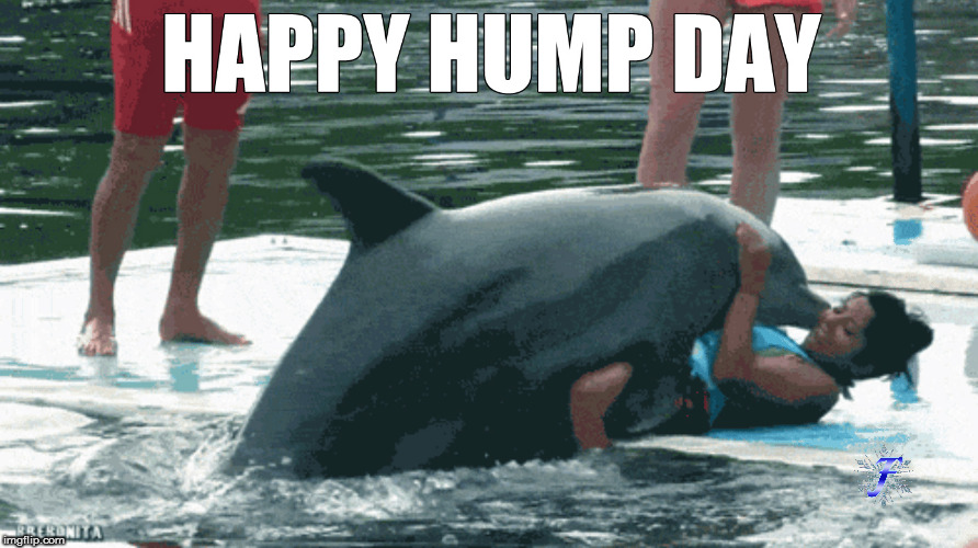 With my luck Wednesday will be over by the time you see this... | image tagged in memes,nsfw,dolphin | made w/ Imgflip meme maker