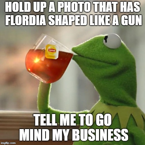 But That's None Of My Business | HOLD UP A PHOTO THAT HAS FLORDIA SHAPED LIKE A GUN; TELL ME TO GO MIND MY BUSINESS | image tagged in memes,but thats none of my business,kermit the frog | made w/ Imgflip meme maker