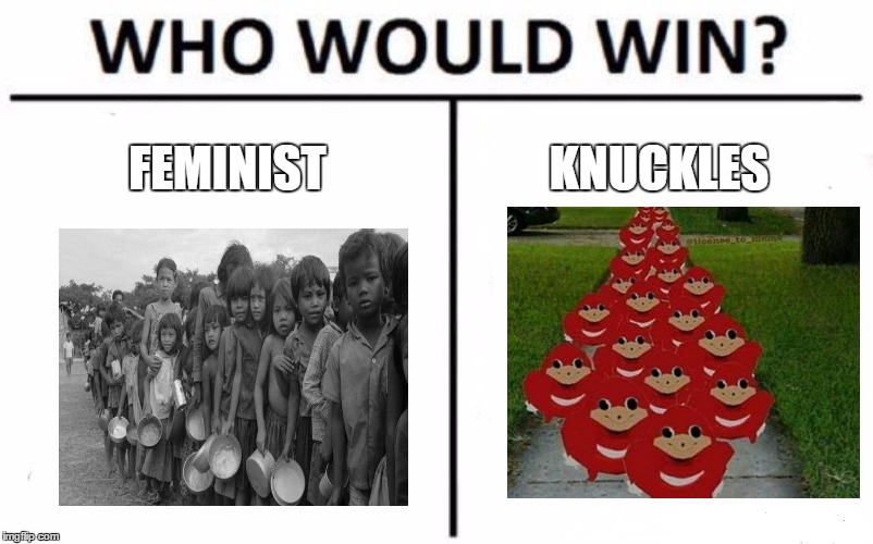 Who Would Win? | FEMINIST; KNUCKLES | image tagged in memes,who would win | made w/ Imgflip meme maker