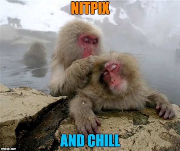 Invite her over for some monkey business... | NITPIX; AND CHILL | image tagged in netflix and chill,monkeys,monkey business | made w/ Imgflip meme maker