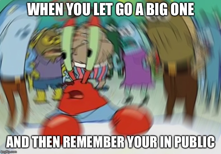 Mr Krabs Blur Meme | WHEN YOU LET GO A BIG ONE; AND THEN REMEMBER YOUR IN PUBLIC | image tagged in memes,mr krabs blur meme | made w/ Imgflip meme maker