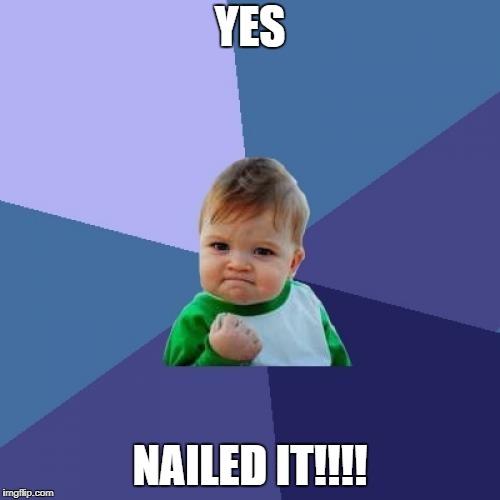 Success Kid Meme | YES; NAILED IT!!!! | image tagged in memes,success kid | made w/ Imgflip meme maker