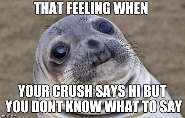 Awkward Moment Sealion Meme | THAT FEELING WHEN; YOUR CRUSH SAYS HI BUT YOU DONT KNOW WHAT TO SAY | image tagged in memes,awkward moment sealion | made w/ Imgflip meme maker
