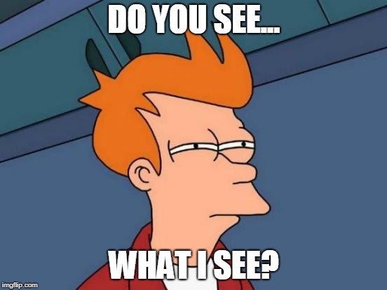 Futurama Fry | DO YOU SEE... WHAT I SEE? | image tagged in memes,futurama fry | made w/ Imgflip meme maker