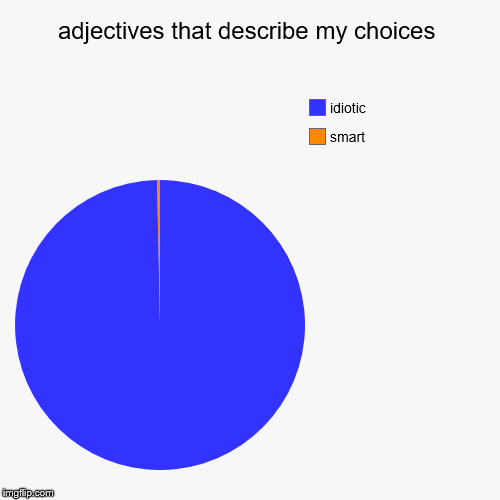 adjectives that describe my choices | smart, idiotic | image tagged in funny,pie charts | made w/ Imgflip chart maker