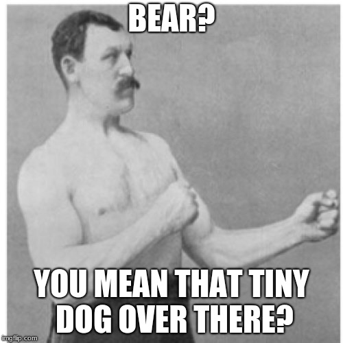 Overly Manly Man | BEAR? YOU MEAN THAT TINY DOG OVER THERE? | image tagged in memes,overly manly man | made w/ Imgflip meme maker