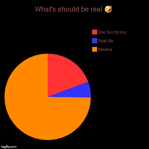 What's should be real  | image tagged in funny,pie charts | made w/ Imgflip chart maker