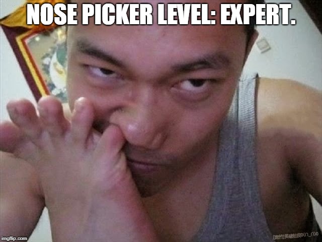 nose picker | NOSE PICKER LEVEL: EXPERT. | image tagged in nose picker | made w/ Imgflip meme maker