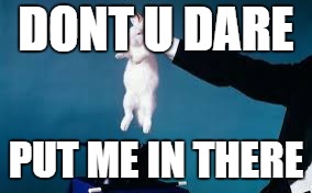 hare-ful magic | DONT U DARE; PUT ME IN THERE | image tagged in magic | made w/ Imgflip meme maker