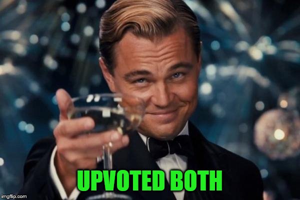 Leonardo Dicaprio Cheers Meme | UPVOTED BOTH | image tagged in memes,leonardo dicaprio cheers | made w/ Imgflip meme maker