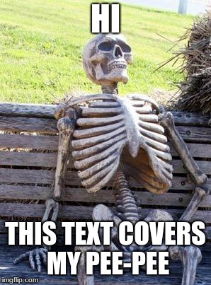 Waiting Skeleton | HI; THIS TEXT COVERS MY PEE-PEE | image tagged in memes,waiting skeleton | made w/ Imgflip meme maker