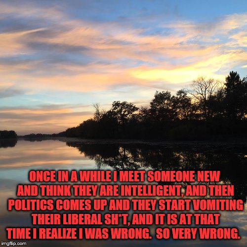 Liberals really are not intelligent | ONCE IN A WHILE I MEET SOMEONE NEW AND THINK THEY ARE INTELLIGENT, AND THEN POLITICS COMES UP AND THEY START VOMITING THEIR LIBERAL SH*T, AND IT IS AT THAT TIME I REALIZE I WAS WRONG.  SO VERY WRONG. | image tagged in political meme,memes,stupid liberals,libtards,libtwits | made w/ Imgflip meme maker