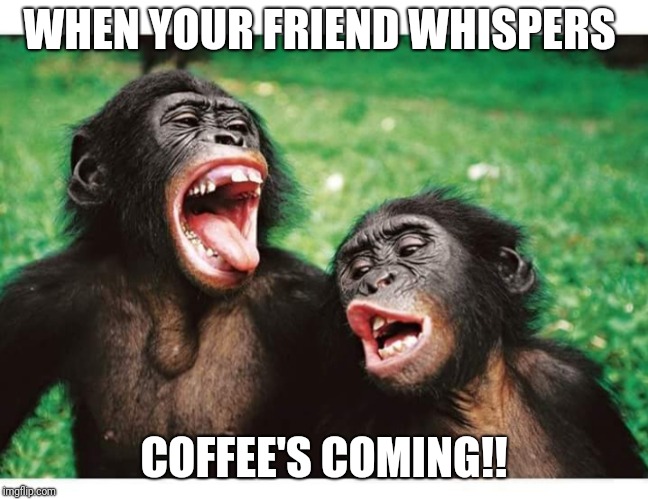 When you  two can relate .. | WHEN YOUR FRIEND WHISPERS; COFFEE'S COMING!! | image tagged in when you  two can relate | made w/ Imgflip meme maker
