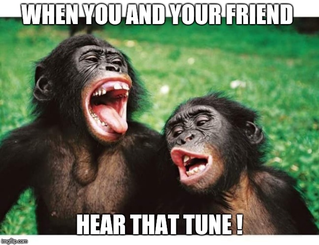 When you  two can relate .. | WHEN YOU AND YOUR FRIEND; HEAR THAT TUNE ! | image tagged in when you  two can relate | made w/ Imgflip meme maker