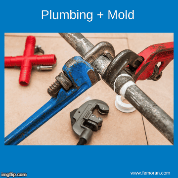 Warning Signs of Mold | image tagged in gifs,plumbing,femoran,hvac,construction,building | made w/ Imgflip images-to-gif maker