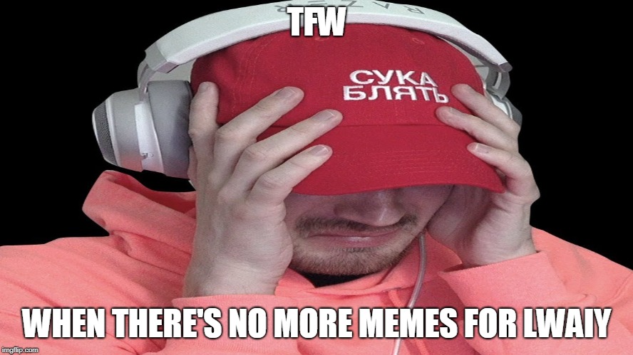 When There's No More Memes For LWAIY | TFW; WHEN THERE'S NO MORE MEMES FOR LWAIY | image tagged in the hate finally got to me | made w/ Imgflip meme maker