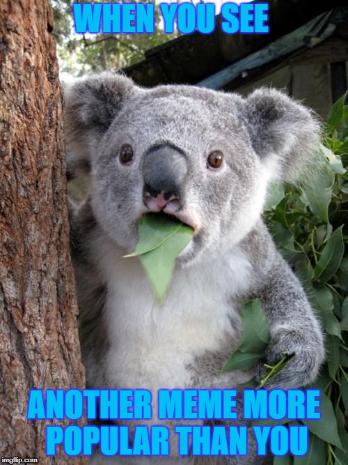 Surprised Koala | WHEN YOU SEE; ANOTHER MEME MORE POPULAR THAN YOU | image tagged in memes,surprised koala | made w/ Imgflip meme maker