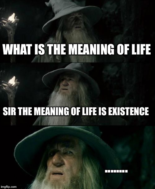 Confused Gandalf | WHAT IS THE MEANING OF LIFE; SIR THE MEANING OF LIFE IS EXISTENCE; ........ | image tagged in memes,confused gandalf | made w/ Imgflip meme maker