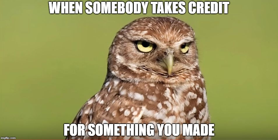 Death Stare Owl | WHEN SOMEBODY TAKES CREDIT; FOR SOMETHING YOU MADE | image tagged in death stare owl,memes,funny,doctordoomsday180,credit,plagiarism | made w/ Imgflip meme maker