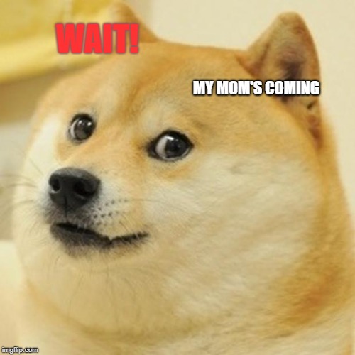 Doge Meme | WAIT! MY MOM'S COMING | image tagged in memes,doge | made w/ Imgflip meme maker