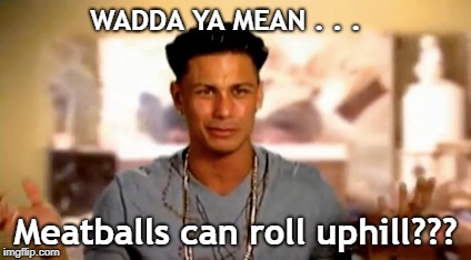 Meatballs can roll uphill | WADDA YA MEAN . . . Meatballs can roll uphill??? | image tagged in jersey shore | made w/ Imgflip meme maker
