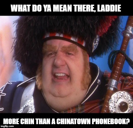I Don't Get It | WHAT DO YA MEAN THERE, LADDIE; MORE CHIN THAN A CHINATOWN PHONEBOOK? | image tagged in memes | made w/ Imgflip meme maker