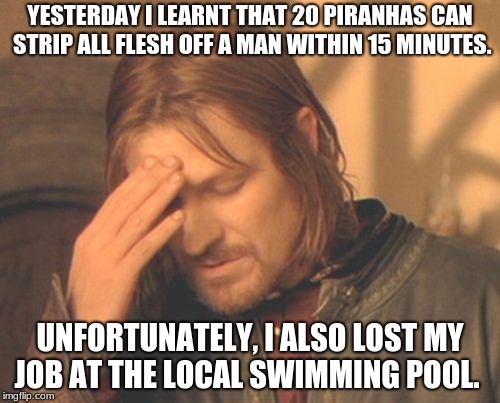 Frustrated Boromir | YESTERDAY I LEARNT THAT 20 PIRANHAS CAN STRIP ALL FLESH OFF A MAN WITHIN 15 MINUTES. UNFORTUNATELY, I ALSO LOST MY JOB AT THE LOCAL SWIMMING POOL. | image tagged in memes,frustrated boromir | made w/ Imgflip meme maker