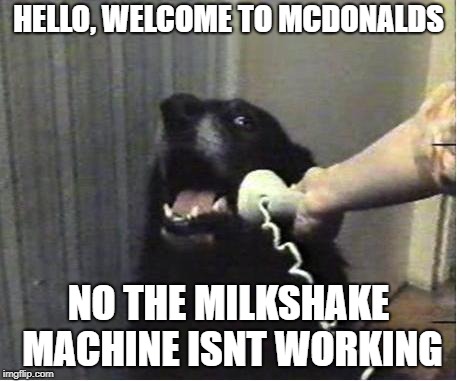 Yes this is dog | HELLO, WELCOME TO MCDONALDS; NO THE MILKSHAKE MACHINE ISNT WORKING | image tagged in yes this is dog | made w/ Imgflip meme maker