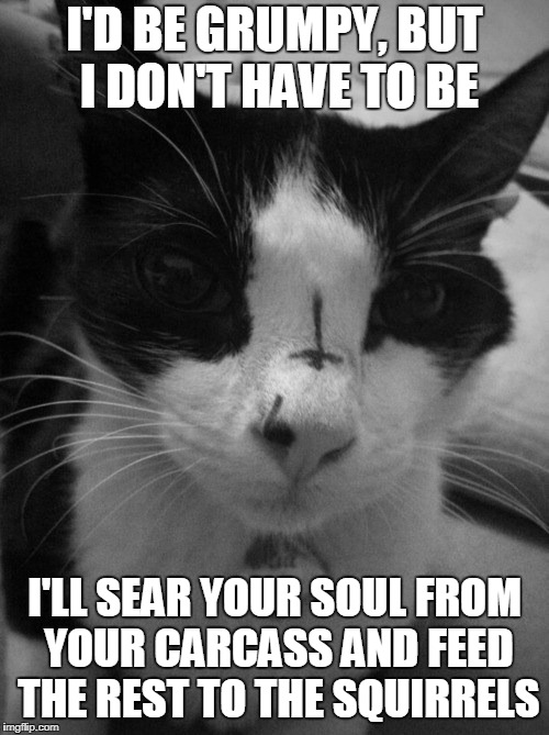 and then i'll have my Friskies with virgin blood... | I'D BE GRUMPY, BUT I DON'T HAVE TO BE; I'LL SEAR YOUR SOUL FROM YOUR CARCASS AND FEED THE REST TO THE SQUIRRELS | image tagged in memes,cat,grumpy cat,black metal,satan | made w/ Imgflip meme maker