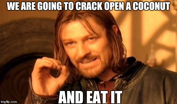 One Does Not Simply Meme | WE ARE GOING TO CRACK OPEN A COCONUT; AND EAT IT | image tagged in memes,one does not simply | made w/ Imgflip meme maker
