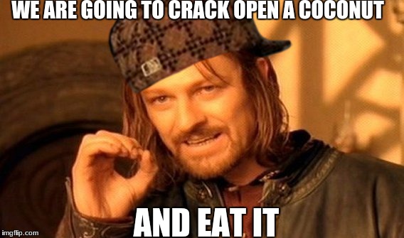 One Does Not Simply Meme | WE ARE GOING TO CRACK OPEN A COCONUT; AND EAT IT | image tagged in memes,one does not simply,scumbag | made w/ Imgflip meme maker