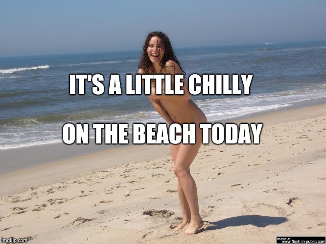 IT'S A LITTLE CHILLY ON THE BEACH TODAY | image tagged in sativa on the beach | made w/ Imgflip meme maker
