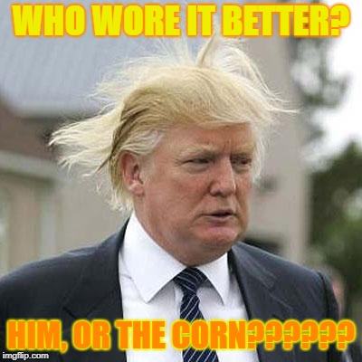 Donald Trump | WHO WORE IT BETTER? HIM, OR THE CORN?????? | image tagged in donald trump | made w/ Imgflip meme maker