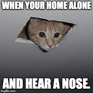 Ceiling Cat | WHEN YOUR HOME ALONE; AND HEAR A NOSE. | image tagged in memes,ceiling cat | made w/ Imgflip meme maker