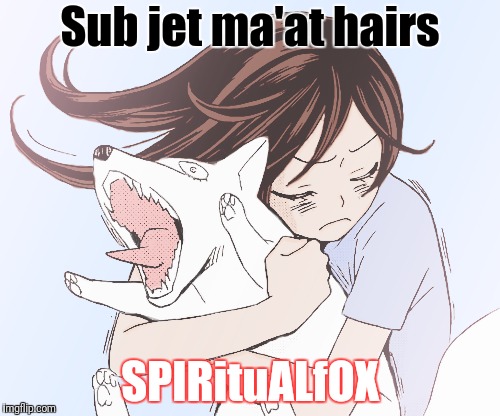 Sub jet ma'at hairs SPIRituALfOX | made w/ Imgflip meme maker