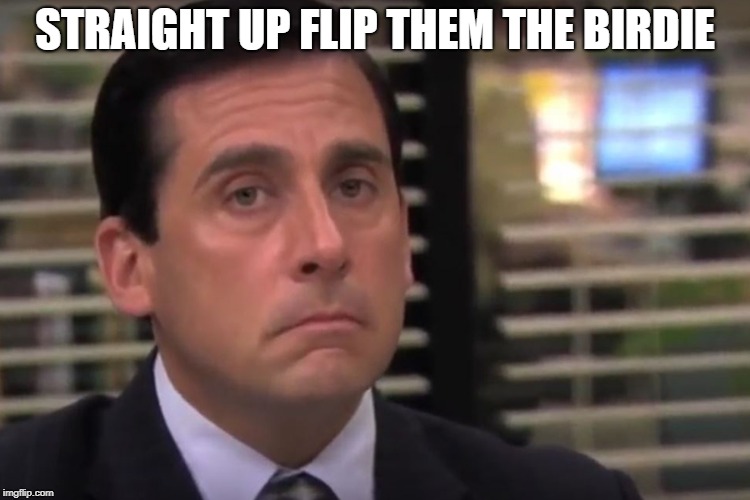 office | STRAIGHT UP FLIP THEM THE BIRDIE | image tagged in office | made w/ Imgflip meme maker