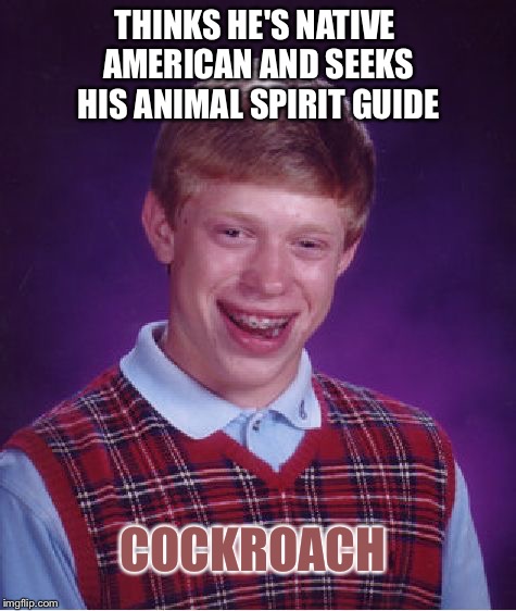 They always somehow survive so it's appropriate. | THINKS HE'S NATIVE AMERICAN AND SEEKS HIS ANIMAL SPIRIT GUIDE; COCKROACH | image tagged in memes,bad luck brian,spirit animal,funny | made w/ Imgflip meme maker